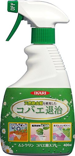 2024 年のベスト コバエ ベスト 30 [50 件の専門家レビューに基づく]