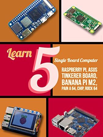 Learn 5 Single Board Computer: Rapberry, Asus Tinkerer Board, Banana PI M2, Pine A 64, Chip, Rock 64 (English Edition)