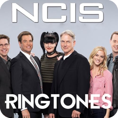 2024 年のベスト ncis ベスト 30 [50 件の専門家レビューに基づく]