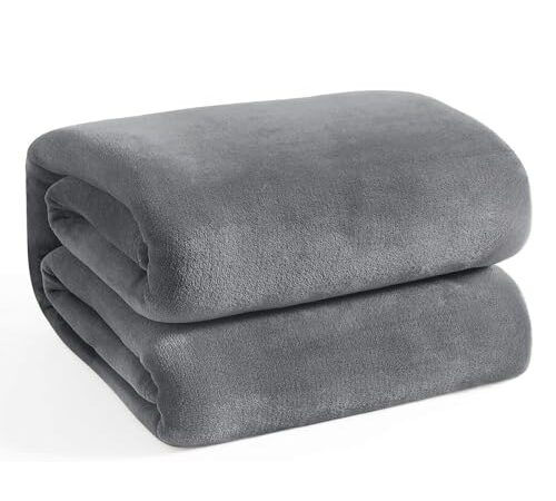 RILIHO 毛布 冬用 ブランケット 毛布 シングル 140x200cm 柔らかく肌触 ハーフケット 軽量 暖かい フランネル 掛け毛布 マイクロファイバー 洗える 静電防止 四季適用 グレー
